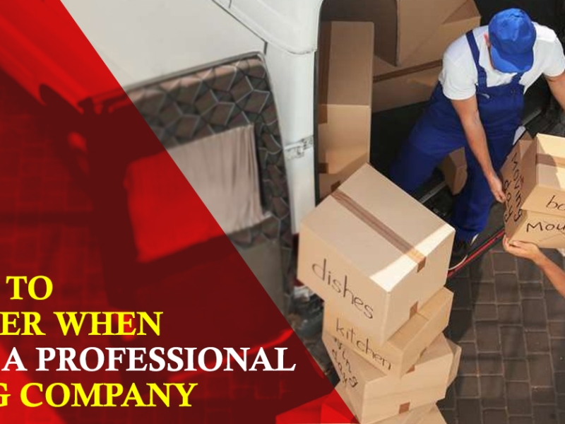5 Things to Consider When Hiring a Professional Moving Company